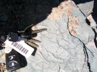 fossilized ripple marks in the Appekunny Formation of Glacier National Park